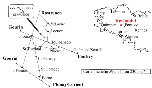 Plan pour accéder à la pépinière de Kerfandol en Ploerdut, bretagne centre dans le 56.